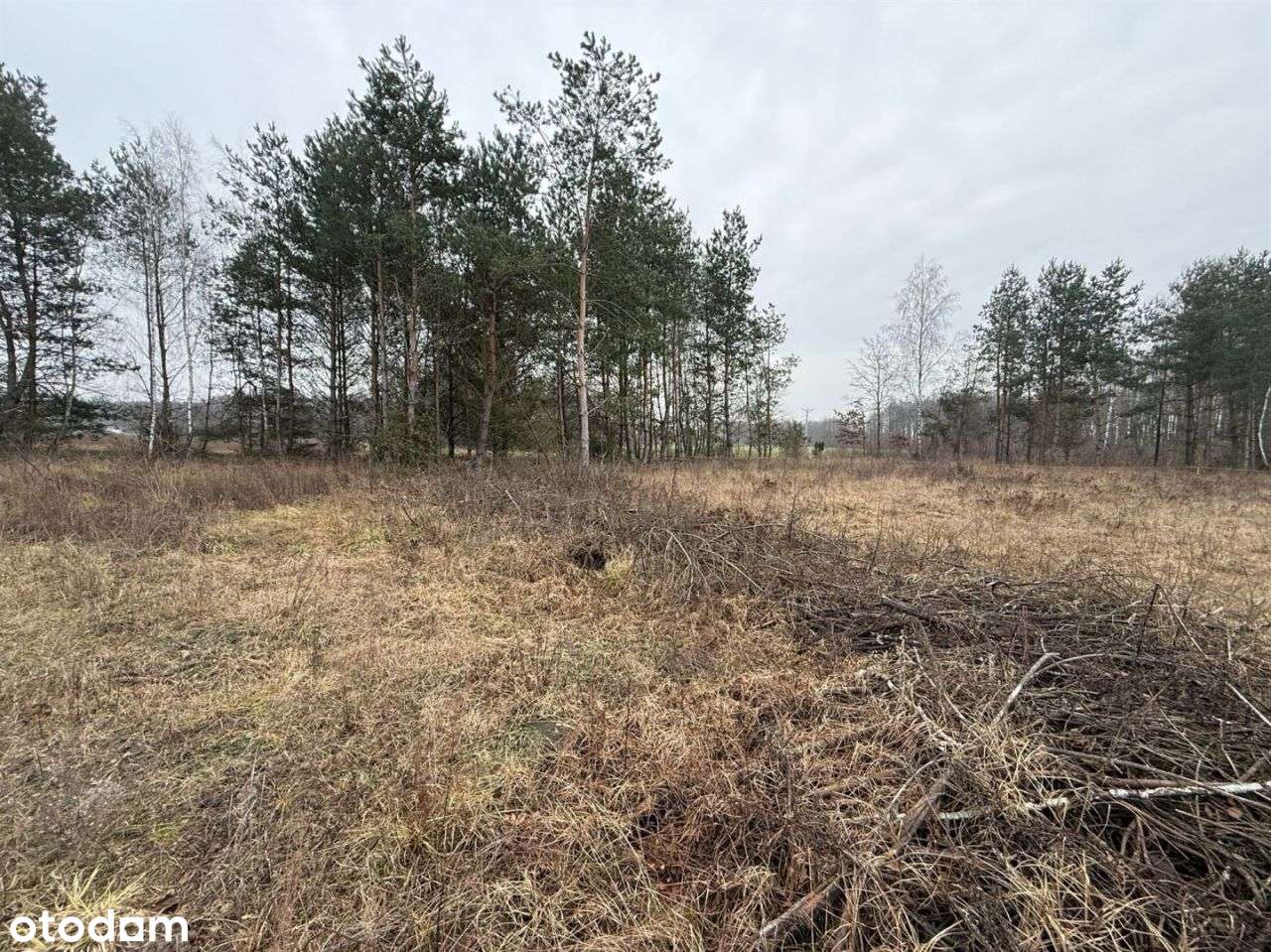 Działka z Wz w malowniczej okolicy-3