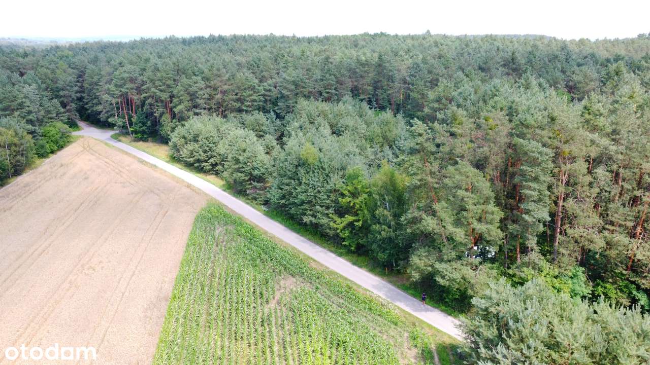 Piękna działka budowlana w środku lasu, 4km od Wisły-8