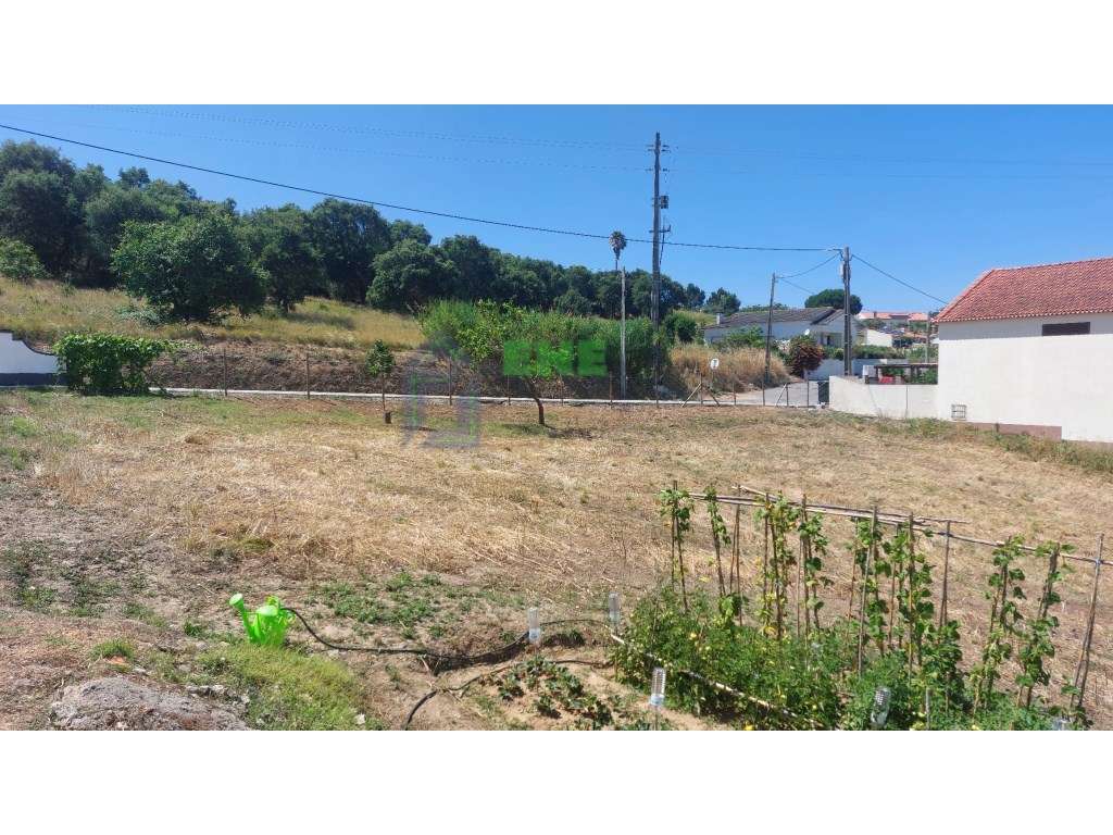 Terreno Urbano em Livramento-1