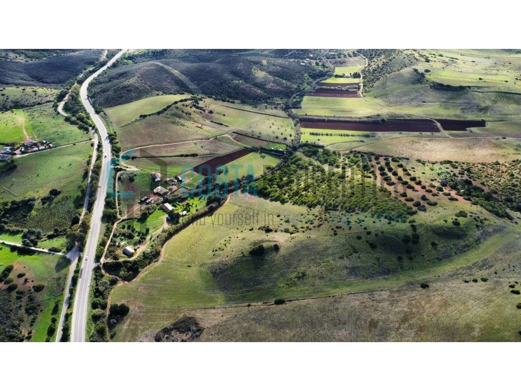 Terreno Rústico com Plantação de Pinheiros na Raposeira - Grande imagem: 5/24