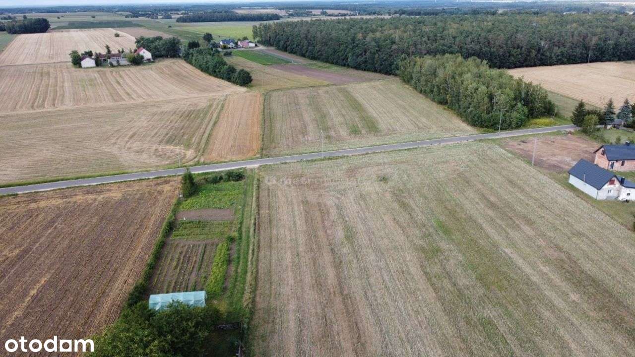 Wyjątkowa działka w niesamowicie niskiej cenie! - Pełny obrazek: 4/6