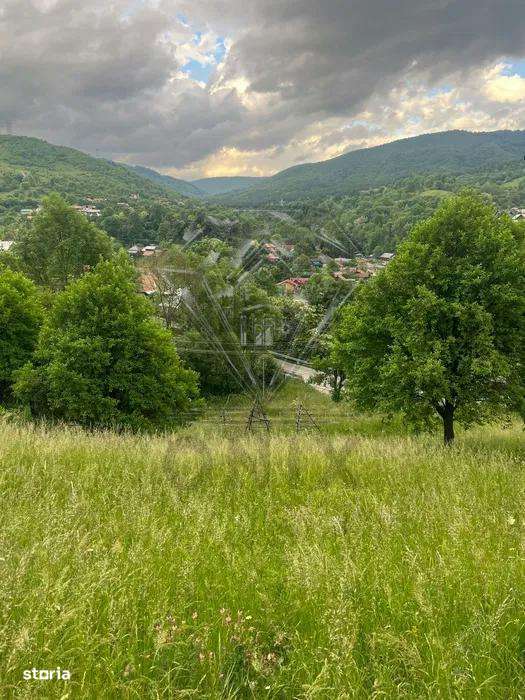 TEREN DE VANZARE VALEA DOFTANEI-0