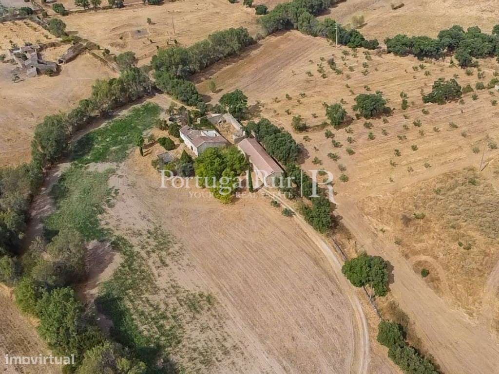 Propriedade com 33 ha e várias ruinas em Castelo Branco - Grande imagem: 4/60