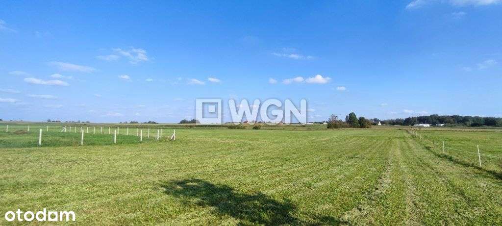 Twoje miejsce na dom w spokojnej okolicy - Pełny obrazek: 5/12