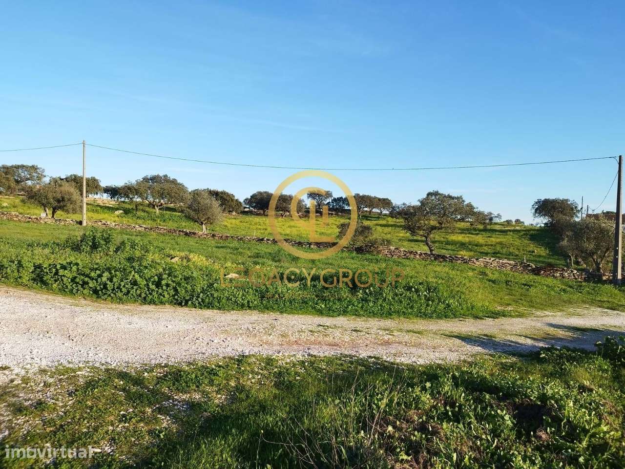 TERRENO COM 13.250M2 EM CABEÇA DE CARNEIRO - Grande imagem: 2/47