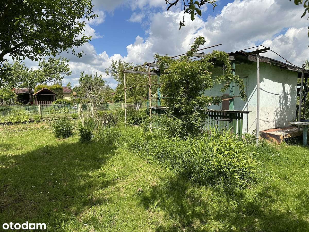 Piękny ogród działkowy działka ROD Złocień Wiaduktowa Wrocław
