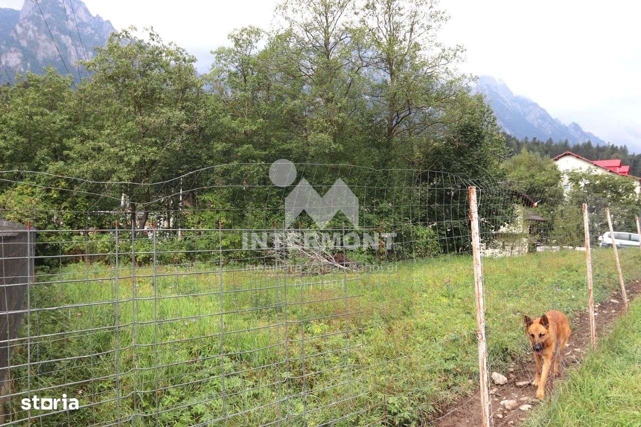 Teren Busteni- intravilan - Imagine principală: 5/7