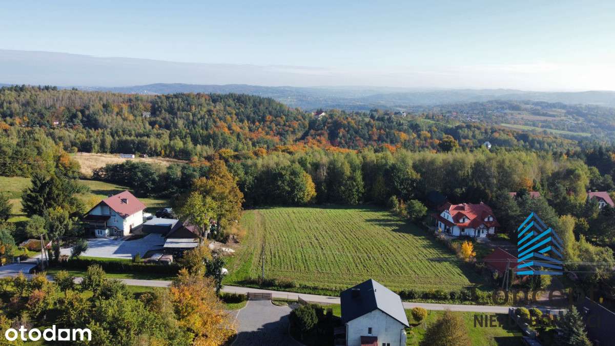 Duża działka Sobolów| 43 a | media | budowlana - Pełny obrazek: 5/9