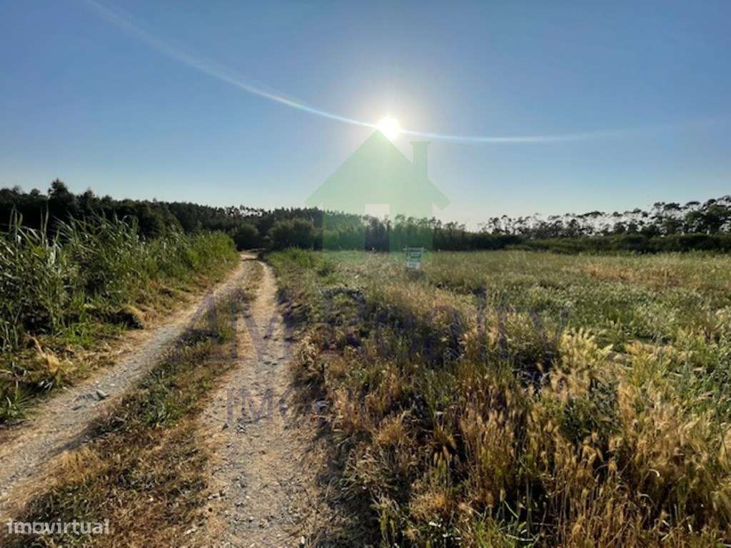 TERRENO RÚSTICO| LOURINHÃ - Grande imagem: 4/4