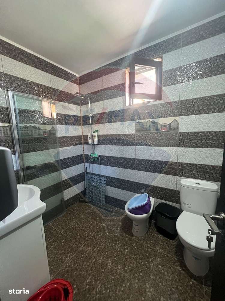 Casă  4 camere Campineanca - Imagine principală: 5/12
