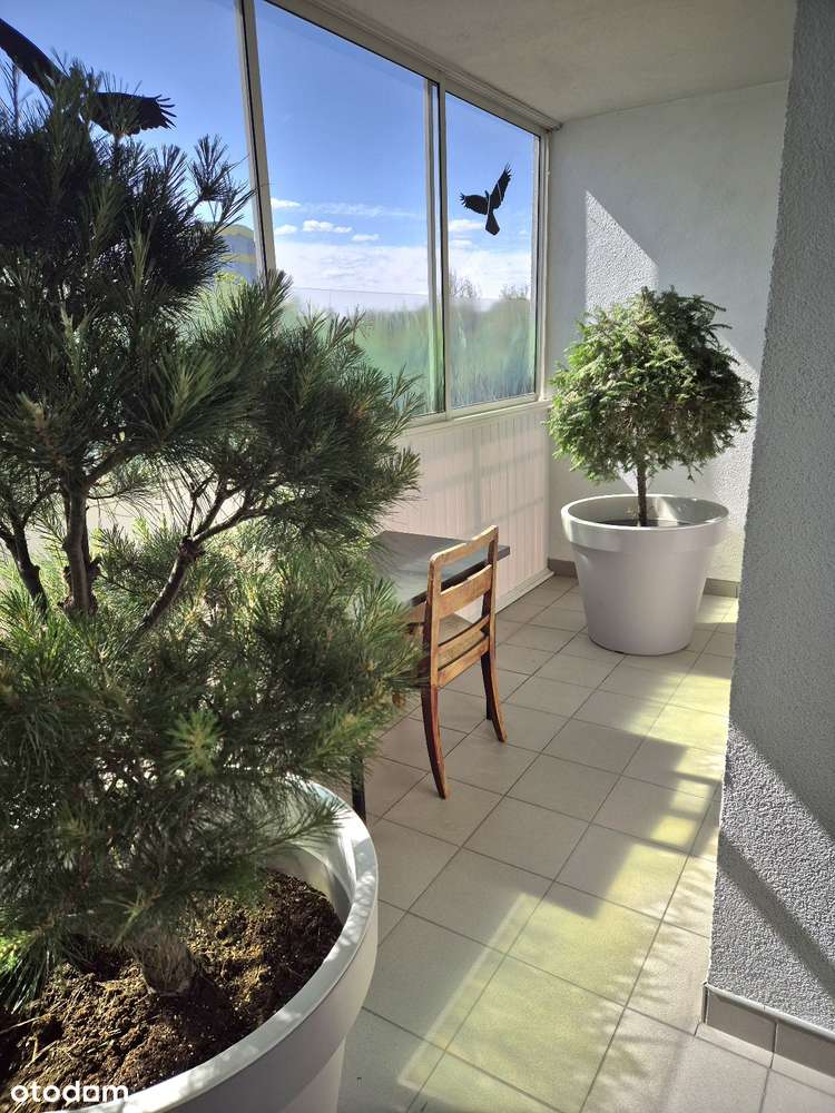 Mieszkanie z dużym ogrodem zimowym-5