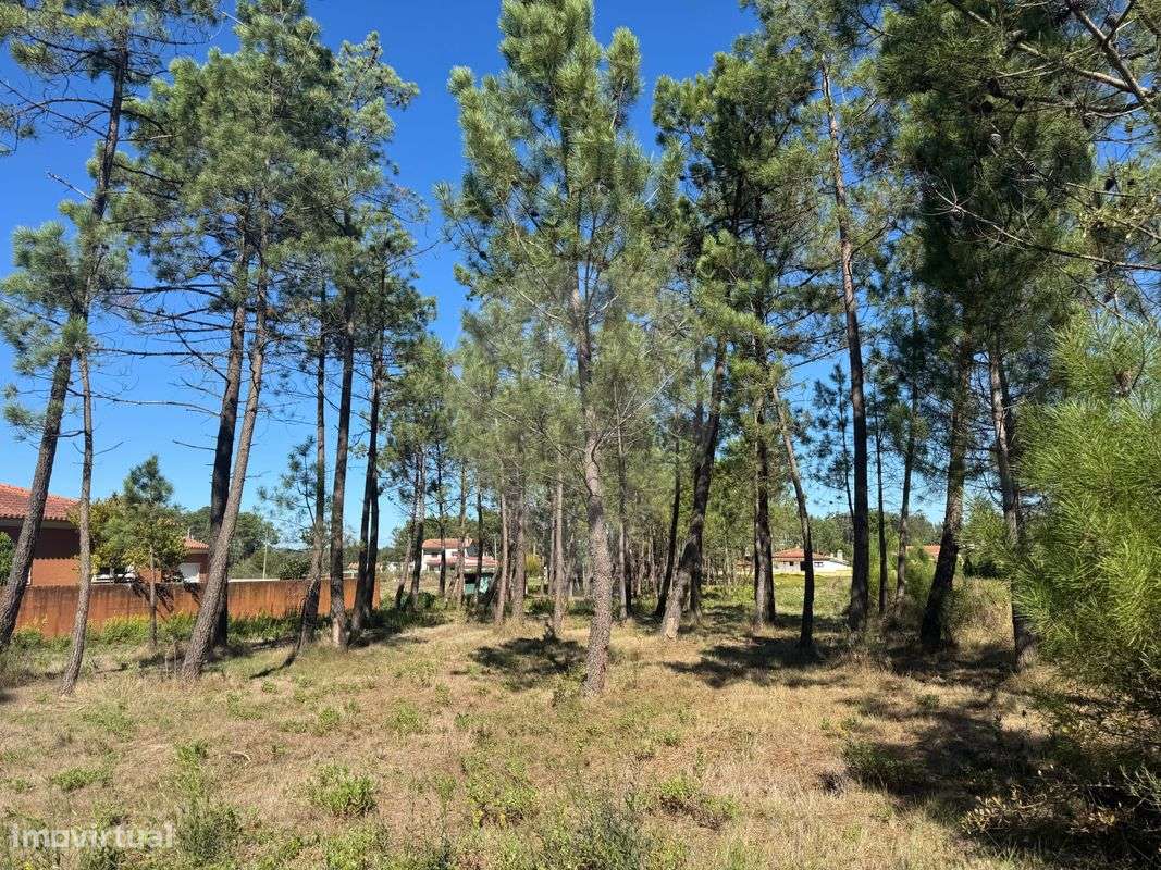 Terreno  para venda - Grande imagem: 5/7