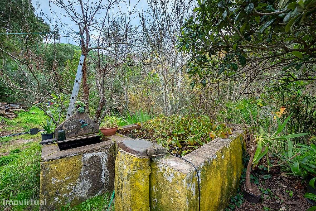 Moradia T4 para venda-18