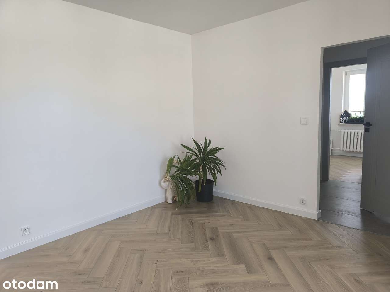 2 pokoje , osobna kuchnia, po generalnym remoncie-8