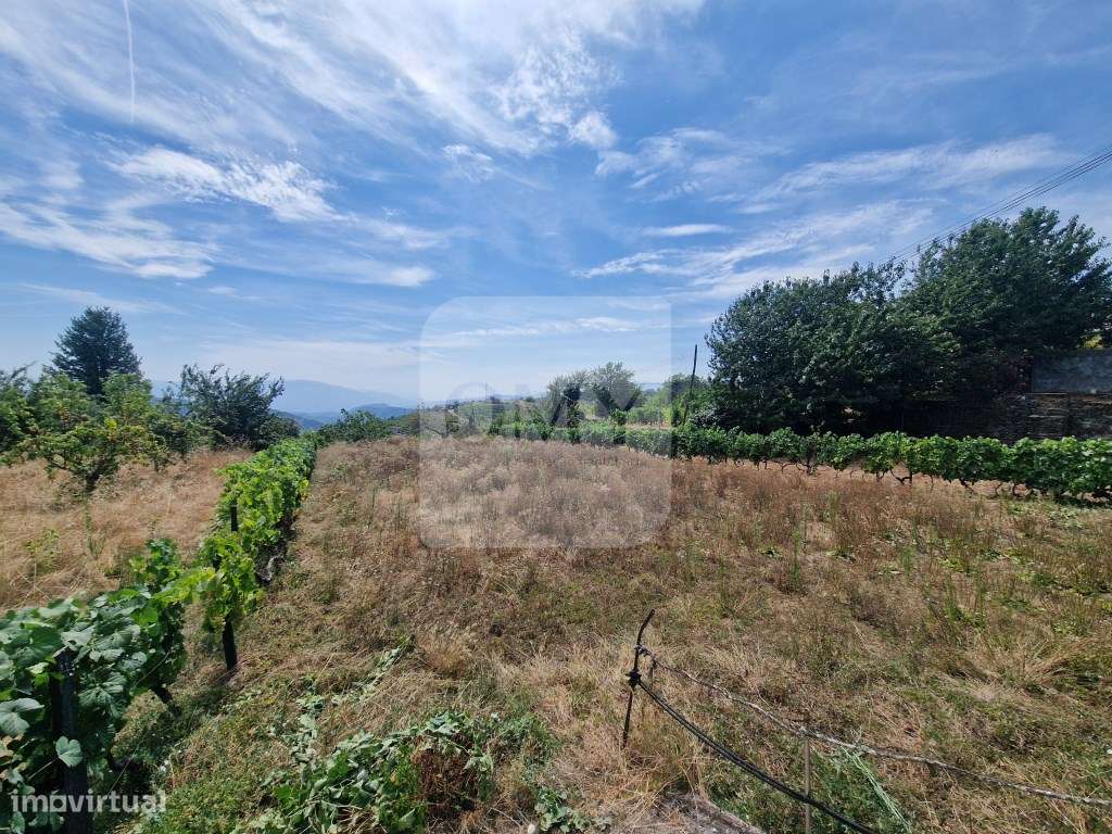 Terreno plano de 830 m² em Abaças, Vila Real-0