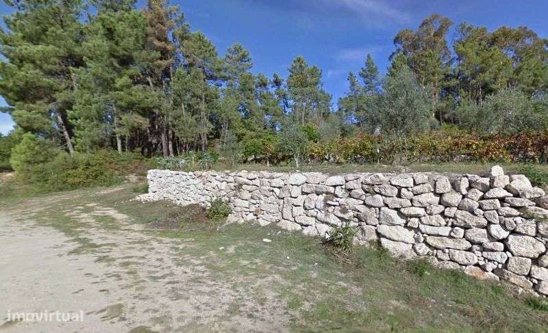 Quintinha agrícola - Grande imagem: 4/12