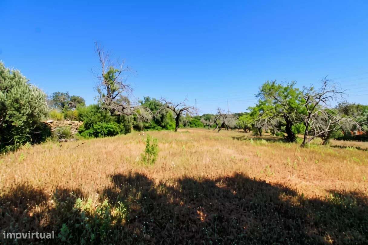 Terreno rústico de 5080 m2 à venda em Estoi, Faro-4