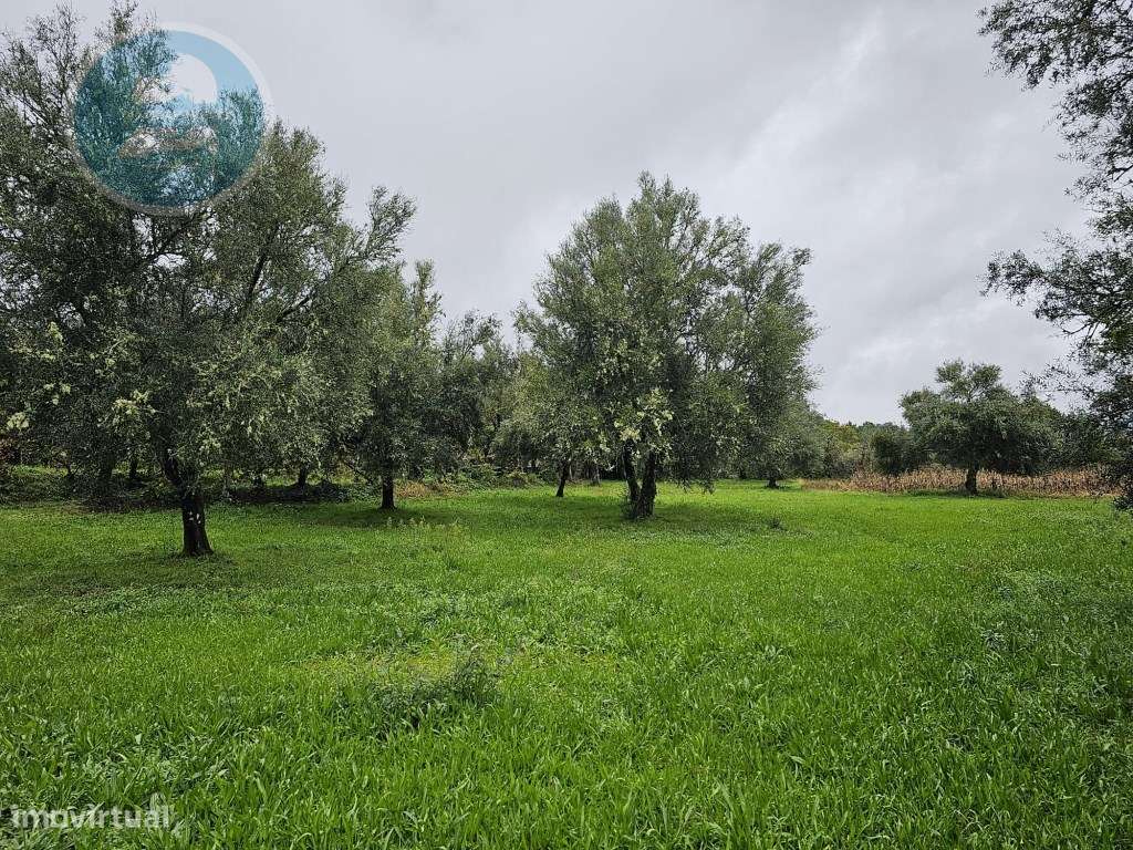 Quinta à venda, localizada no Lugar de Água Redonda, Cabeceiras de ...-39