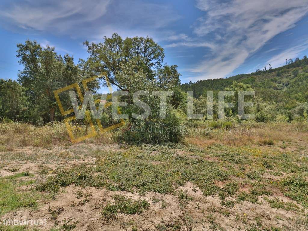 TERRENO - MILHARADO - MAFRA - com caderneta e certidão urbanas, mas... - Grande imagem: 5/16