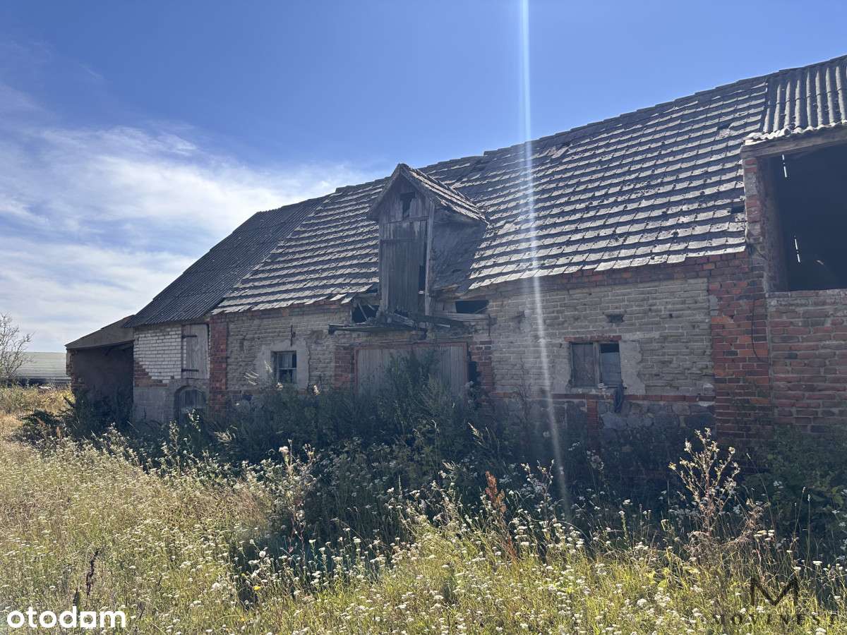 Gospodarstwo rolne w Berkowie - Pełny obrazek: 4/15