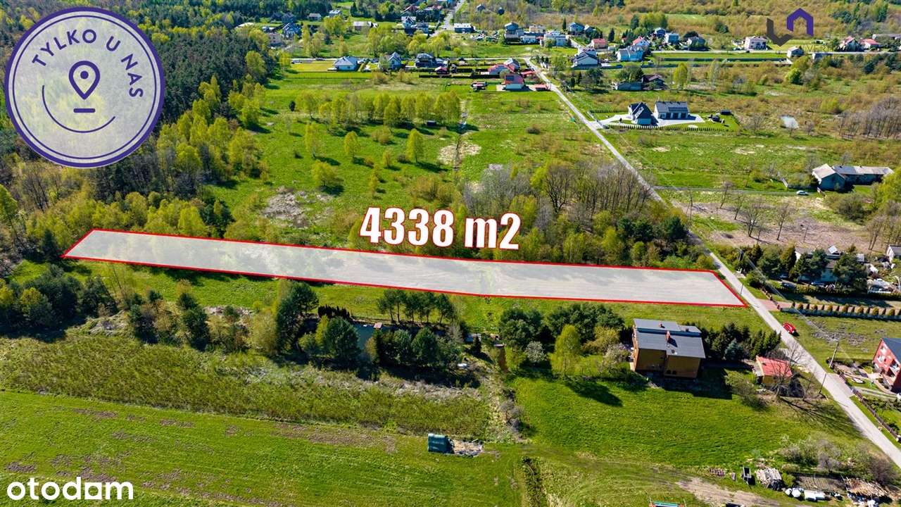 Działka POD Lasem. Media W Drodze. - Pełny obrazek: 5/18