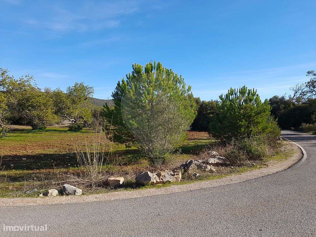 Terreno  para venda - Grande imagem: 4/11