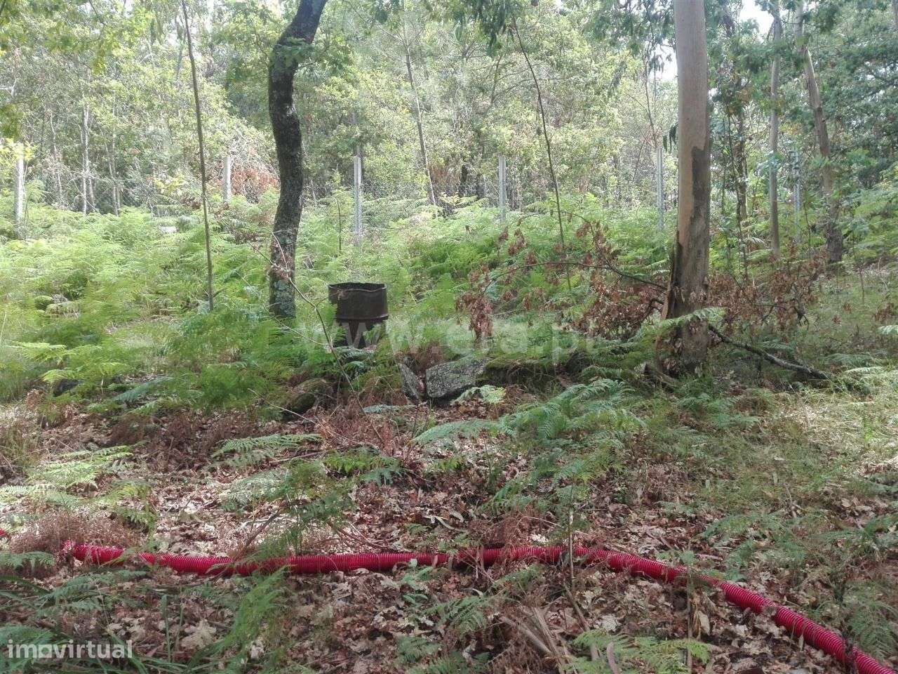 Terreno com ruína e área de 3.700 m2 em Estorãos - Grande imagem: 5/15
