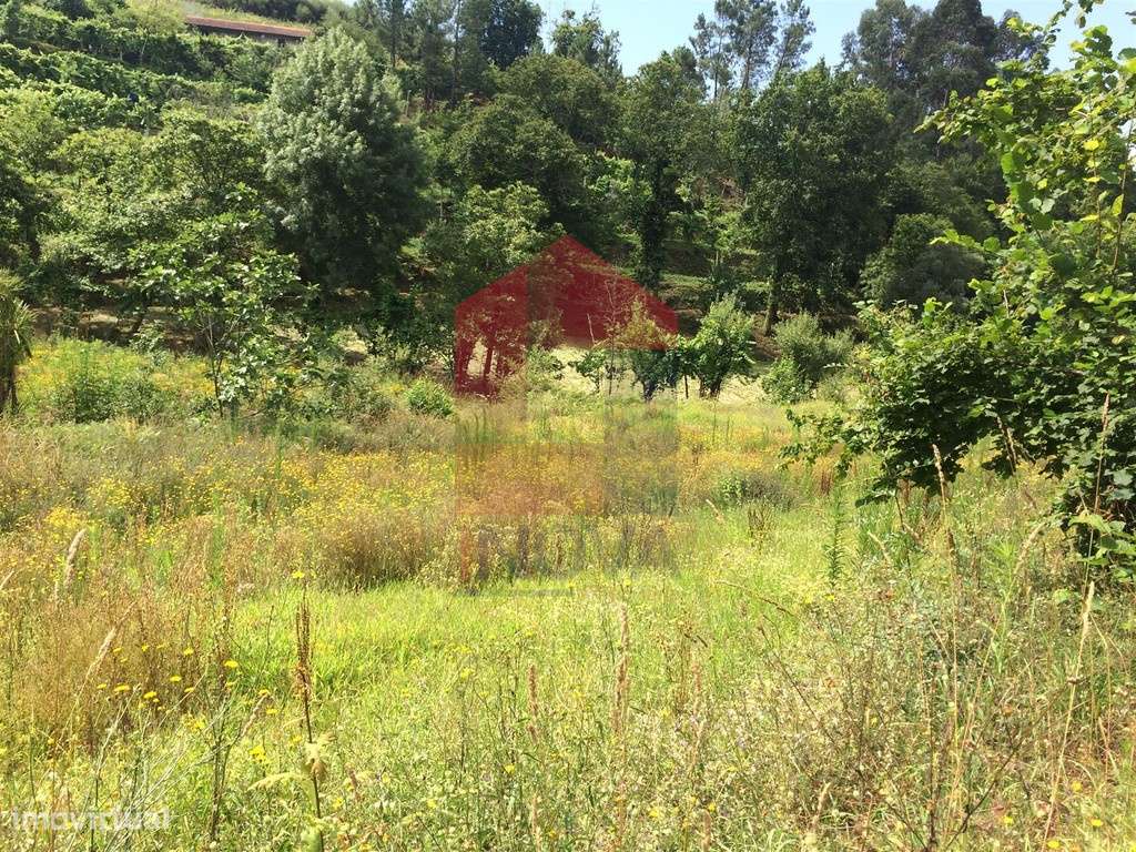 Vende-se Terreno, Barros - Grande imagem: 5/12