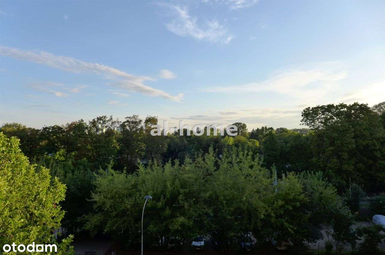 Blisko metra, winda, wysokie 3,15m-1