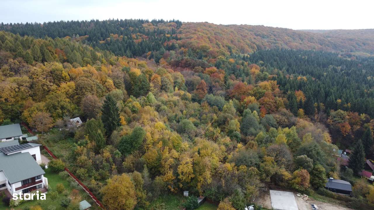 Teren de vanzare în Faget 1542 mp cu panorama-16