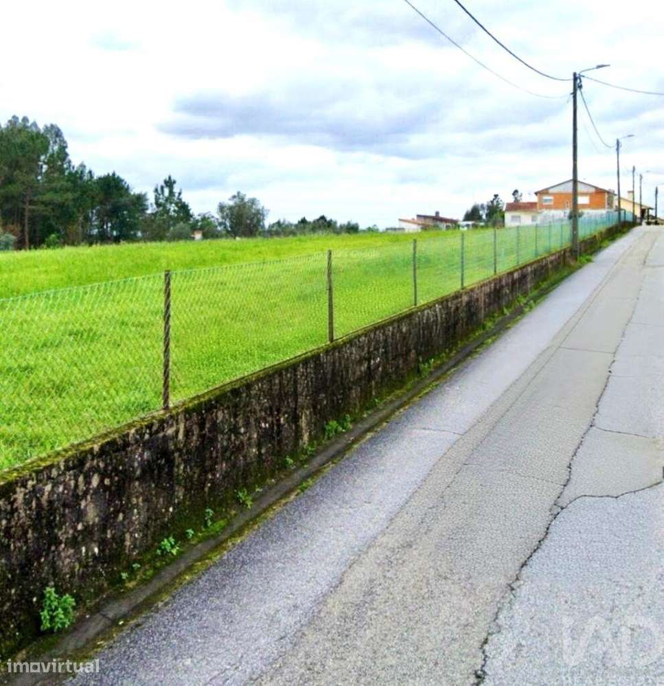 Terreno em Macinhata do Vouga de 5600,00 m2 - Grande imagem: 5/15