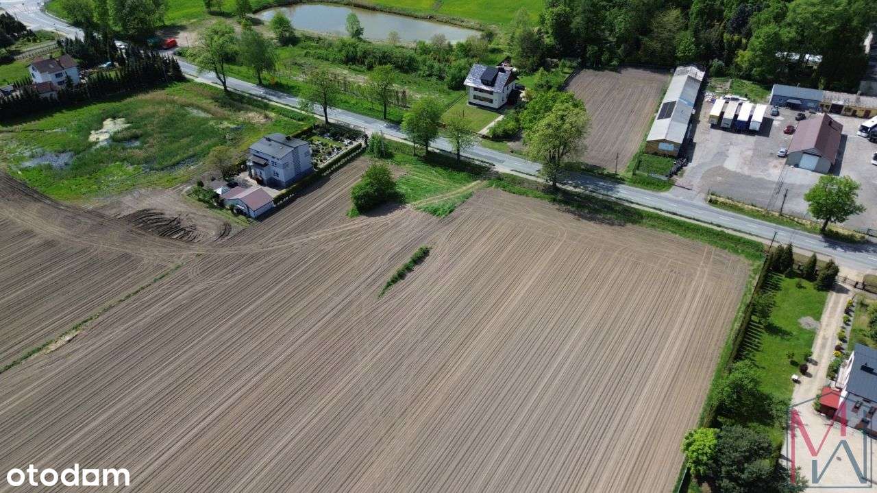 Działka usługowo- rolna Kopciowice gmina Chełm Śląski-6