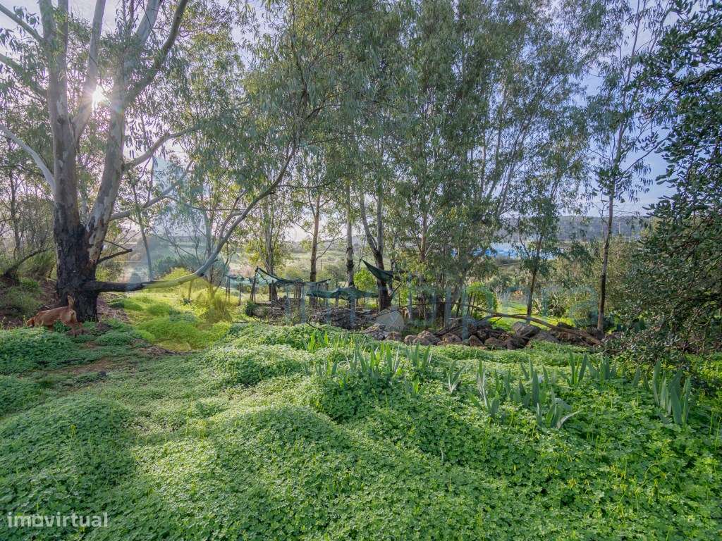 NAO PERCA ESTA GRANDE OPORTUNIDADE! FABULOSA MORADIA V3 DE GRANDES ...-41