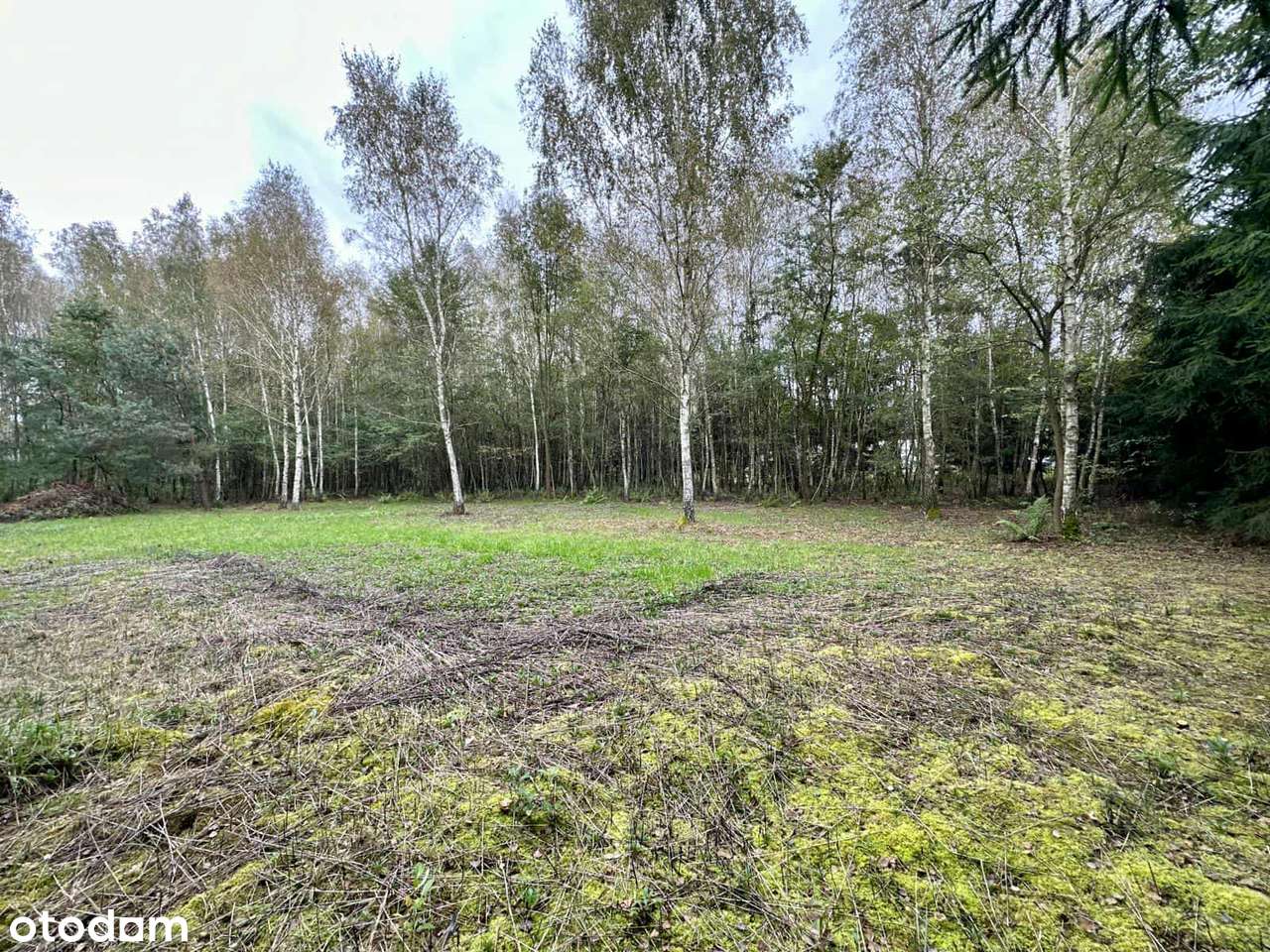 Piękna działka budowlana- Pustków.-1