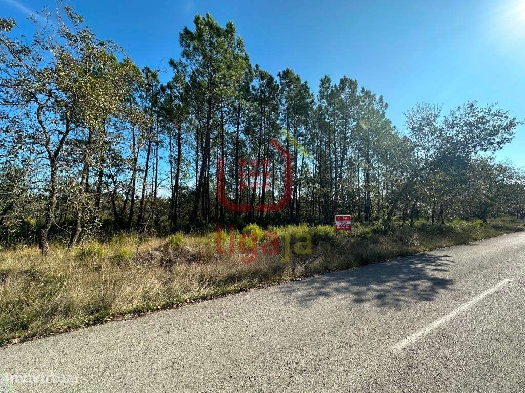 Terreno Rústico, Ourém! - Grande imagem: 2/7