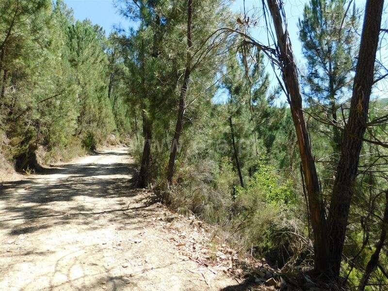 Terreno / Fundão, Enxabarda - Grande imagem: 2/3