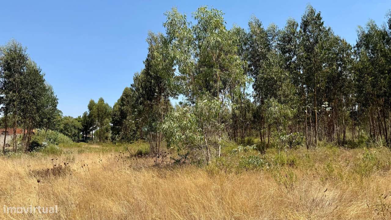 Terreno com 94.000 m2 na zona do Novo Aeroporto de Lisboa, Santo Estêv - Grande imagem: 5/23