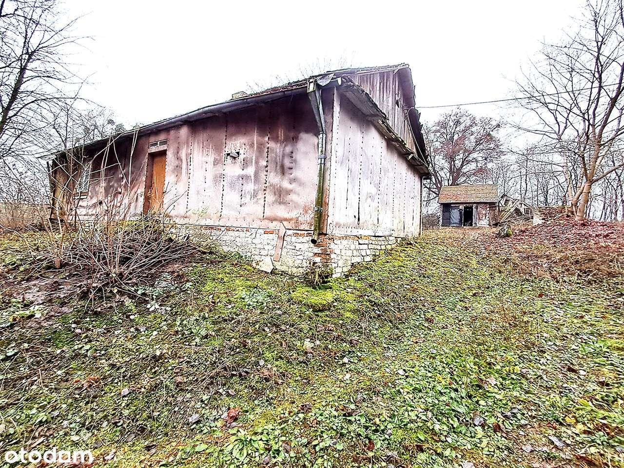 Okazja inwestycyjna – 3,5 ha gruntu z siedliskiem Baranica k. Gorzkowa - Pełny obrazek: 4/19