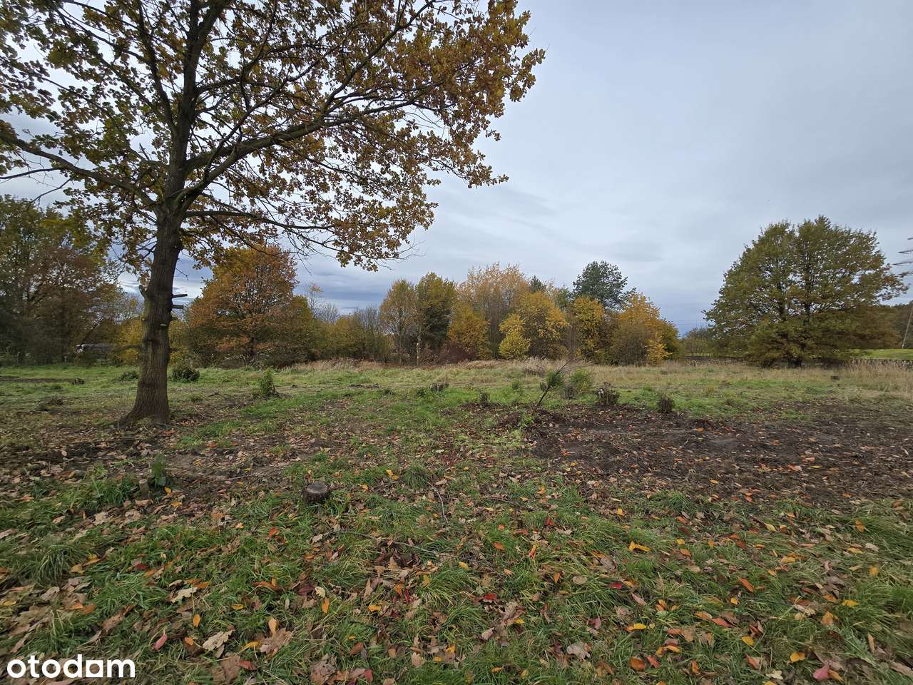 Okazja 120 zł /m2 - działka Orzesze Jaśkowice - Pełny obrazek: 4/6