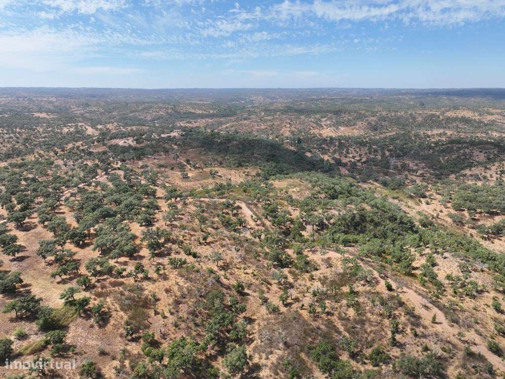 HERDADE COM 100 HECTARES E BASTANTE ARBORIZAÇÃO-55