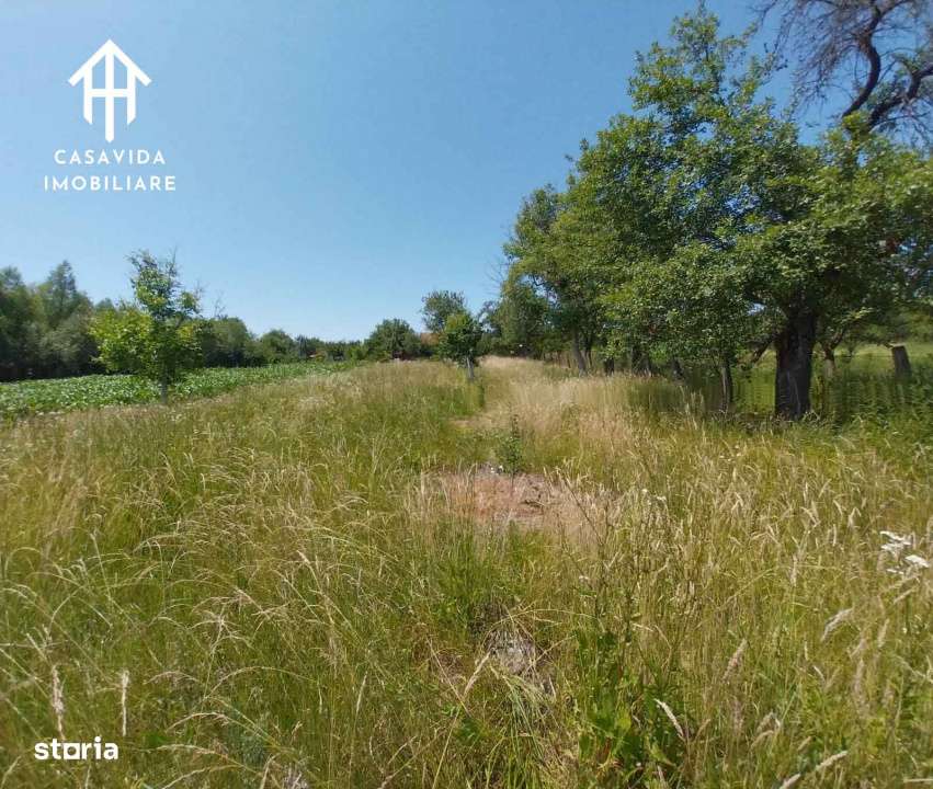 Casa de vanzare in Temeresti, judetul Timis - Imagine principală: 5/10