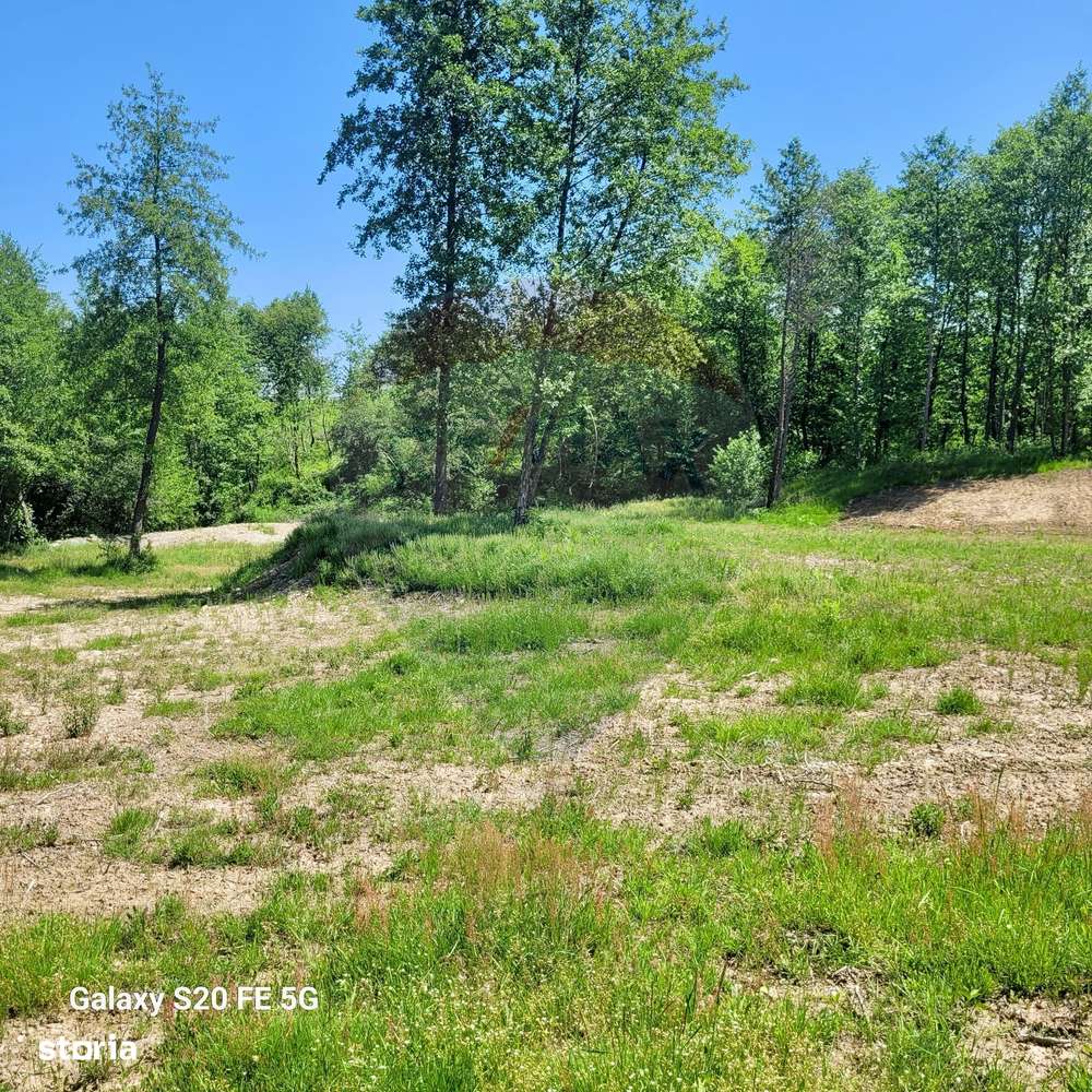 Oază de liniște – teren de vânzare 6.725 mp-1