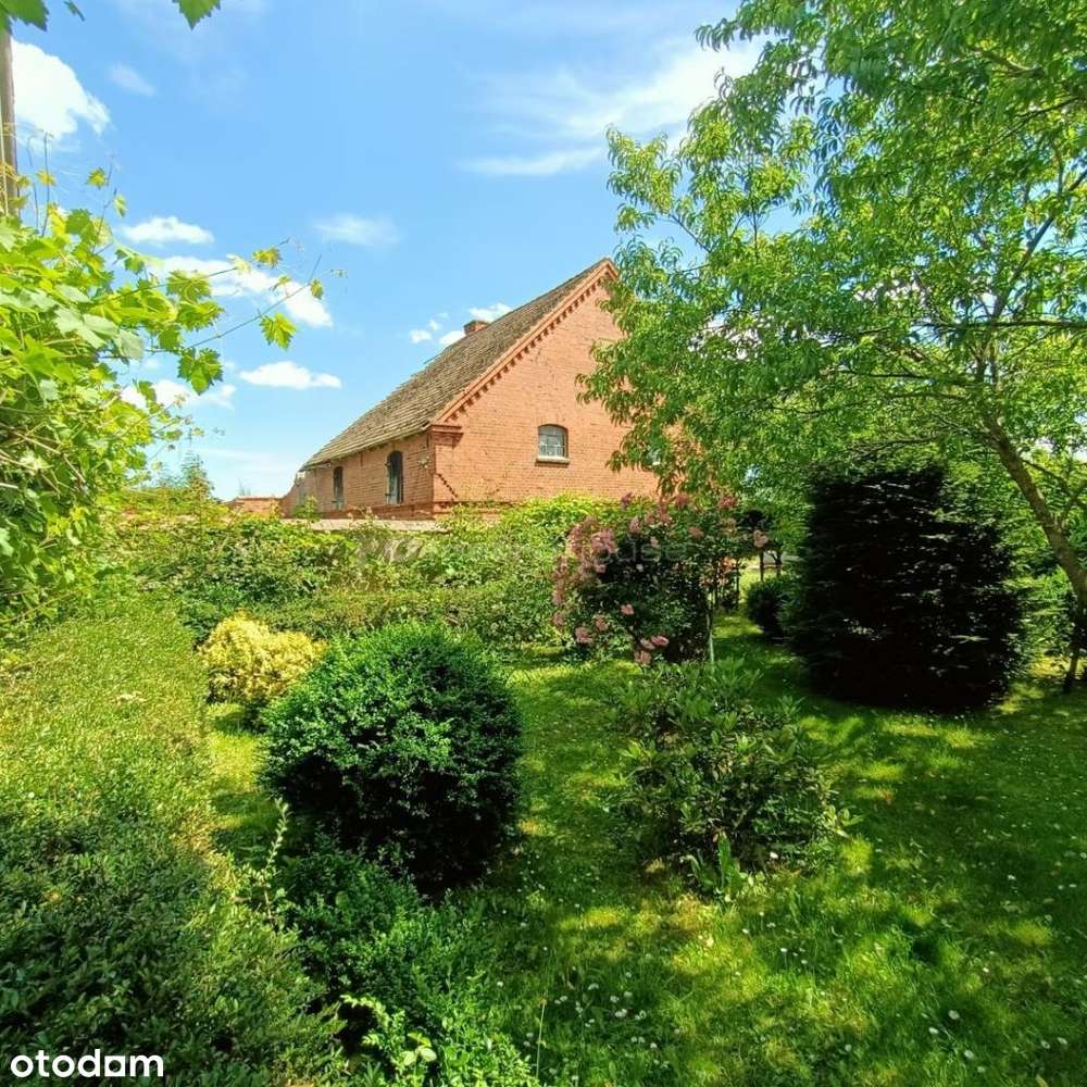 Dom z dużą działką w Pieńkówku 22km od morza. - Pełny obrazek: 4/20