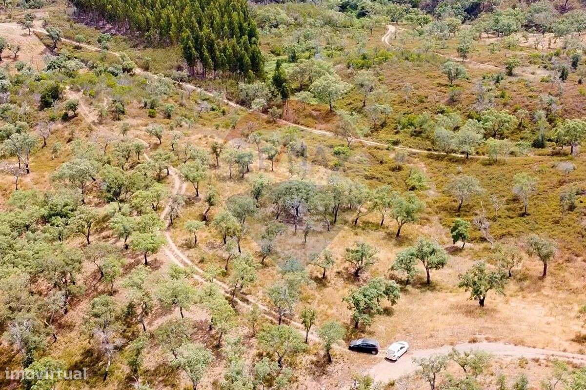 Terreno  para venda - Grande imagem: 4/9