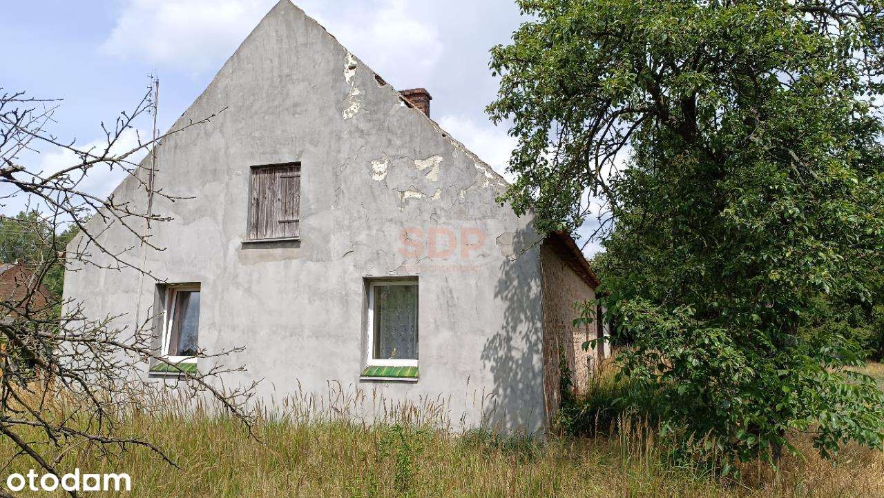 Kotowice, dom 100 m2, działka 1600 m2 - Pełny obrazek: 5/5