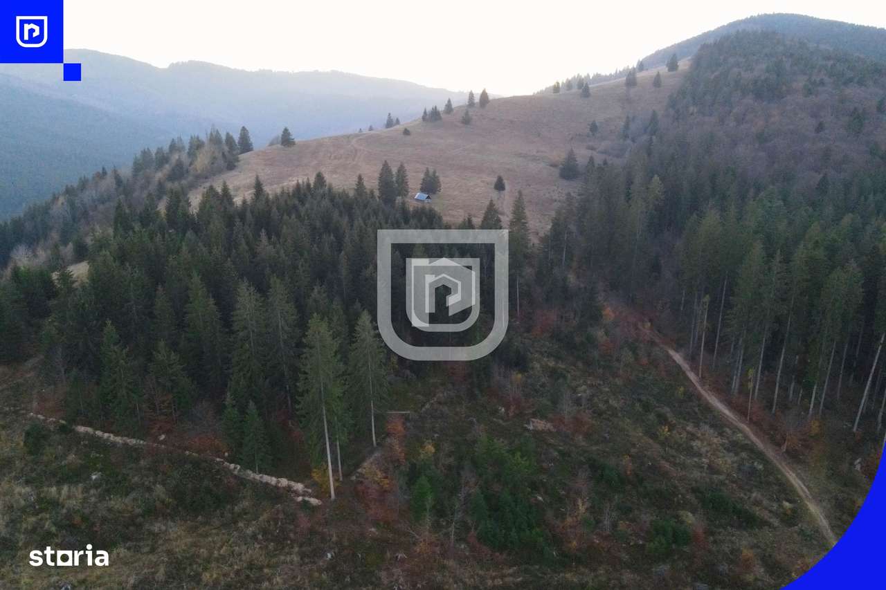 Teren situat in Frasin | BUCOVINA - Imagine principală: 5/8