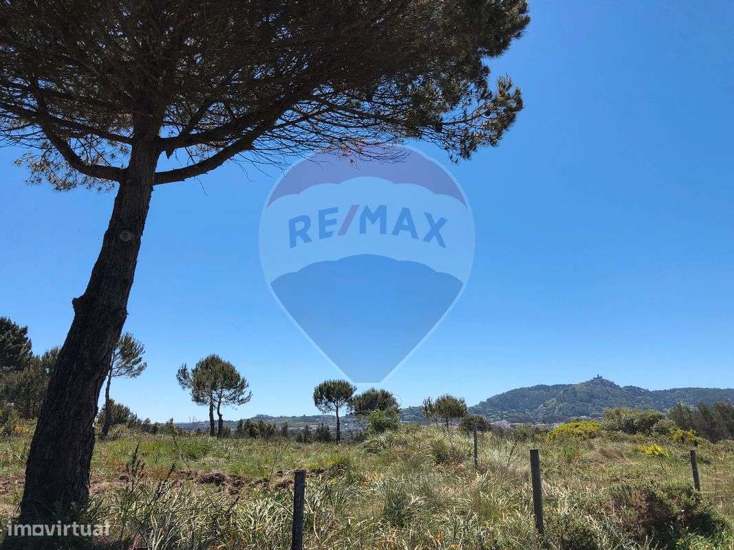 Terreno  para venda - Grande imagem: 3/7