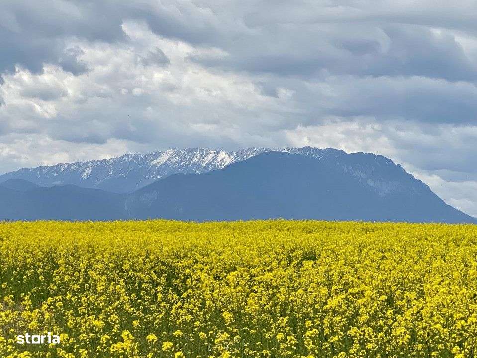 Teren plat P +4 Bran, panoramic munti, DN73, toate utilitatile-10