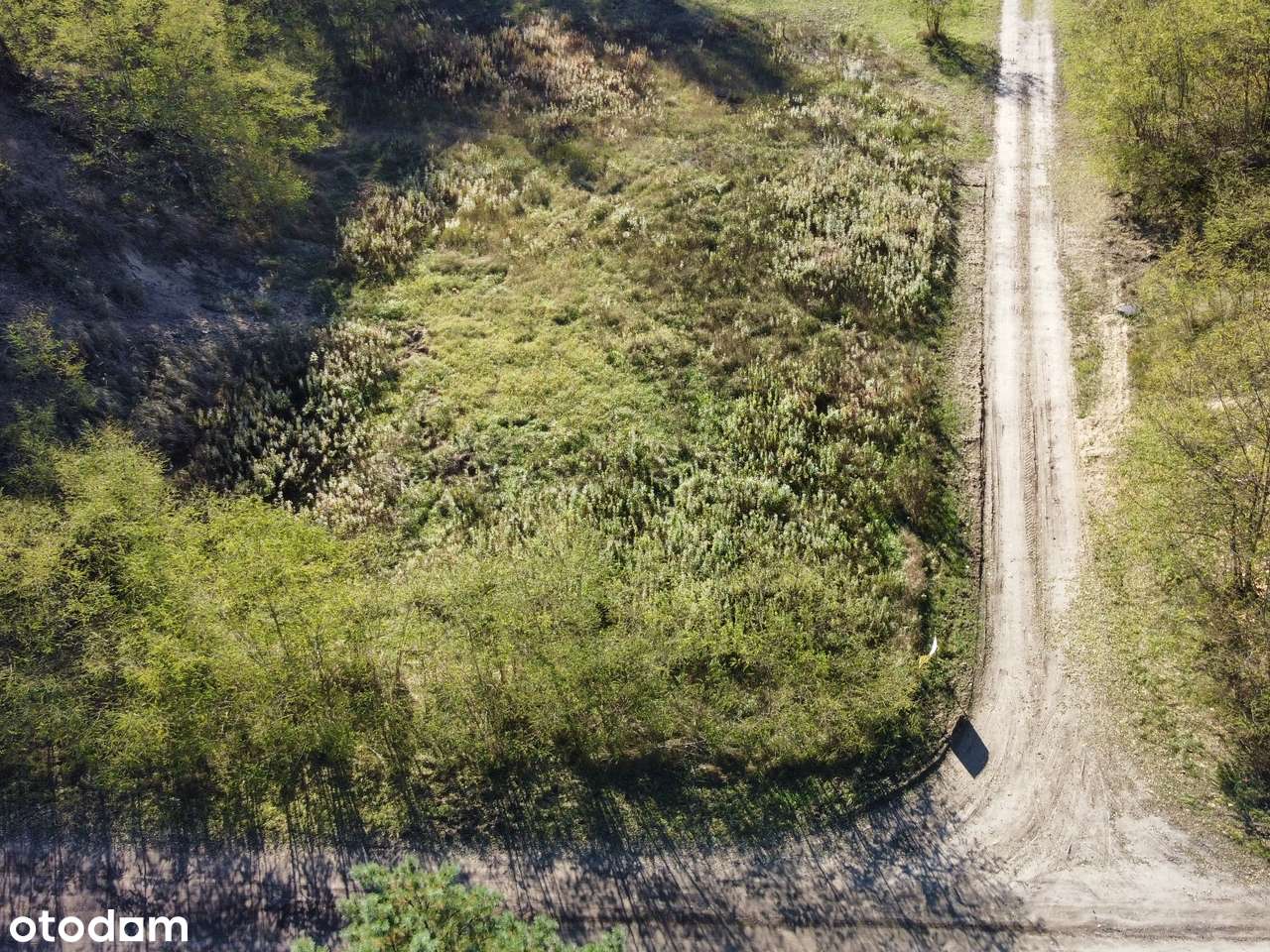 Działka 1983 m² w Józefowie, ul. Leśna – idealne miejsce na Twój dom - Pełny obrazek: 4/10