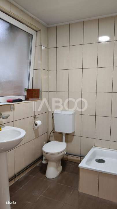 Spatiu industrial de 300 mp de inchiriat in Sebes Alba - Imagine principală: 4/12